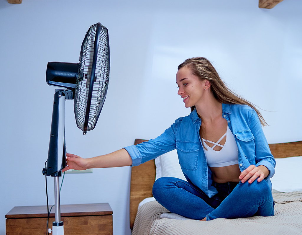 Ventilador preto